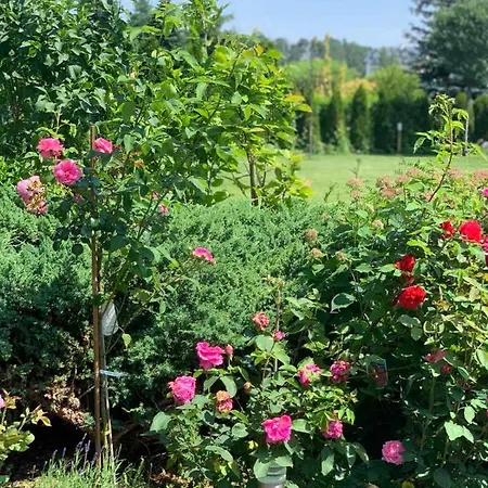 Luxury - Jessapart Walendia Villa *