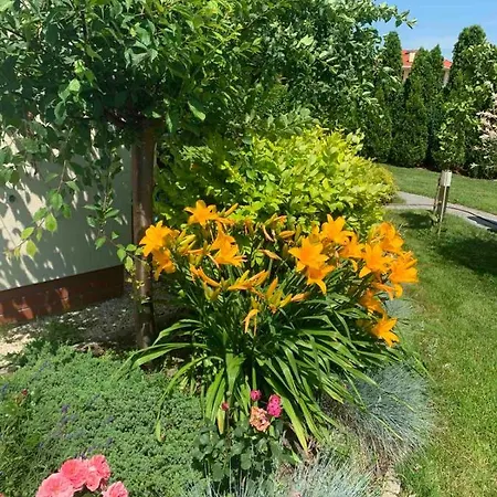 Villa Luxury - Jessapart Walendia