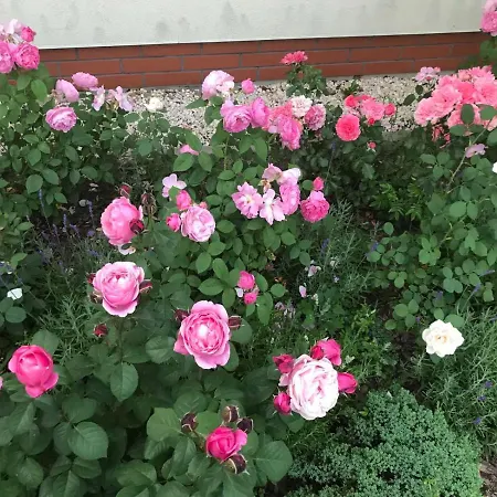 Luxury - Jessapart Walendia Villa Walendow