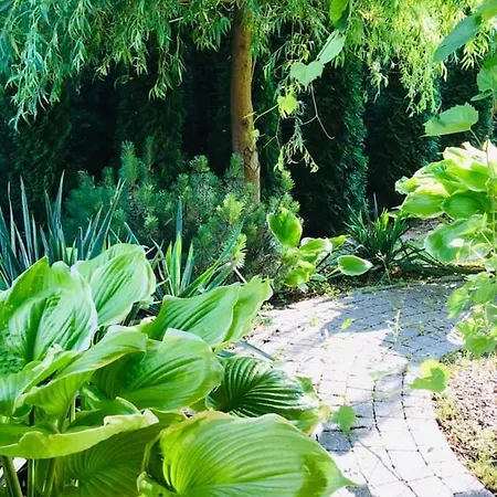 Luxury - Jessapart Walendia Villa *