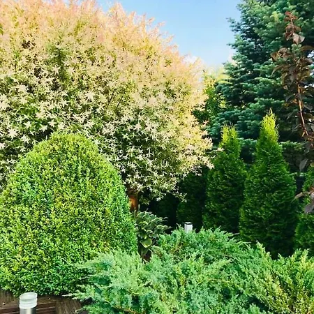 Luxury - Jessapart Walendia Walendow