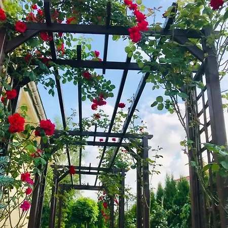 Luxury - Jessapart Walendia * Walendow