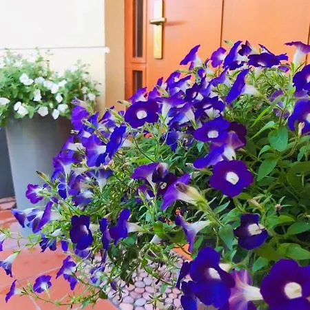 Villa Luxury - Jessapart Walendia