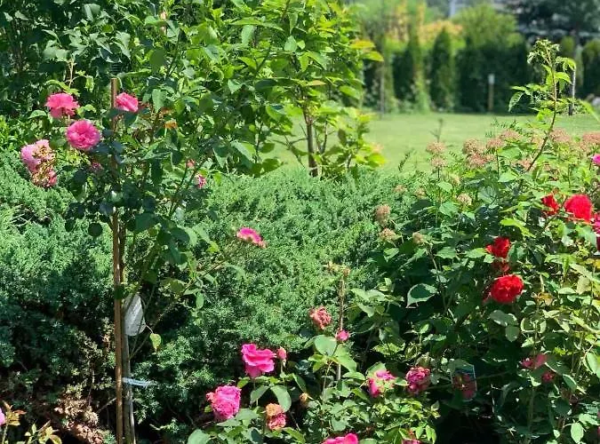 Luxury - Jessapart Walendia Villa *