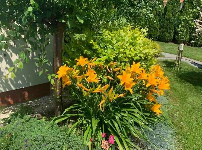 Villa Luxury - Jessapart Walendia