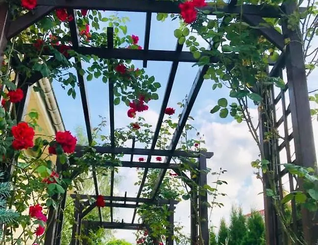 Luxury - Jessapart Walendia * Walendow